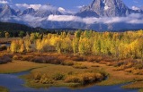 5-Day Yellowstone, Grand Teton & Don King's Western Museum Bus Tour from Salt Lake City (with airport transfer) (1 Night in Canyon Lodge)